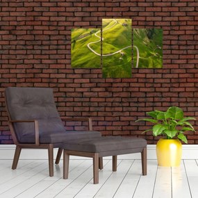 Tablou - Platoul Meadow (90x60 cm)