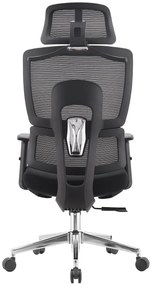 LUCKY-V4 Scaun ergonomic, suport lombar, tetiera 2D, umeras, Negru