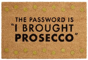 Covoraș de intrare din fibre de nucă de cocos 40x60 cm Prosecco – Premier Housewares