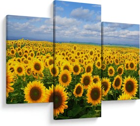Tablou cu lan de floarea soarelui (90x60 cm)