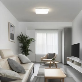 Brilagi - Plafonieră PLAIN LED/24W/230V 3000K