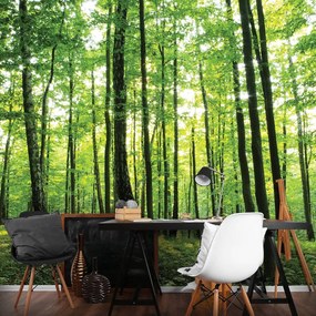 Fototapet - Pădurea verde (152,5x104 cm), în 8 de alte dimensiuni noi