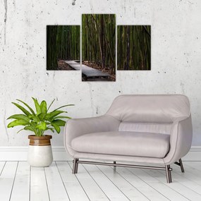 Tablou - Între bambus (90x60 cm)