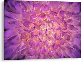 Tablou detailat cu floare (70x50 cm)