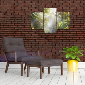 Tablou - Pădure tropicală (90x60 cm)