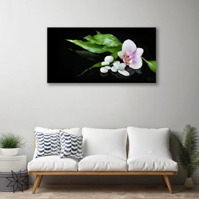 Tablou pe panza canvas Pietrele de flori Frunze Floral Alb Roz Verde Negru