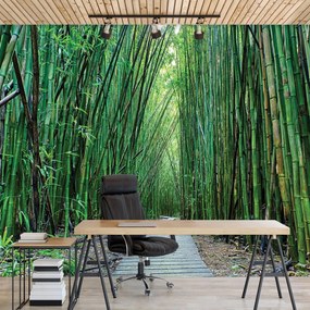 Fototapet - Bambus (254x184 cm), în 8 de alte dimensiuni noi