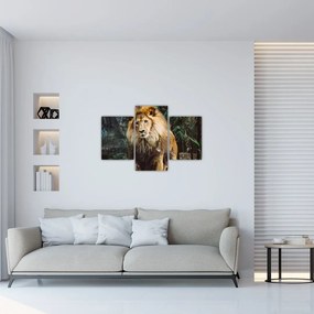 Tablou cu leu în natură (90x60 cm)