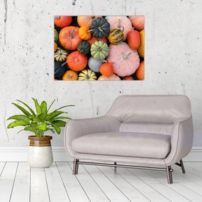 Tablou - Dovleac (70x50 cm)