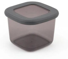 Set de Cutii pentru Depozitare, 9 Piese, Culoare Antracit, 964FRM1108