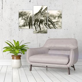 Tablou - Girafe, de epocă (90x60 cm)