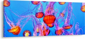 Tablou cu meduse în mare (120x50 cm)