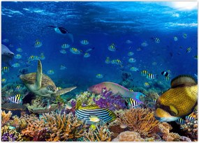 Tablou - Ocean (70x50 cm)