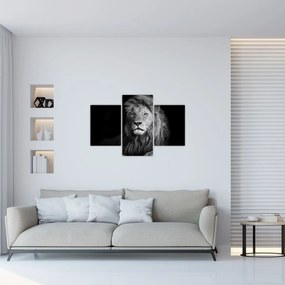 Tablou - Leu, alb și negru (90x60 cm)