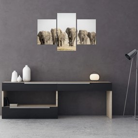 Tablou - Turmă de elefanți (90x60 cm)