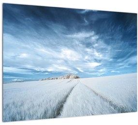 Tablou - Câmp (70x50 cm)