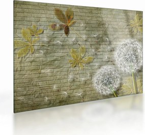 Tablou pe sticlă - Păpădii suflate de vânt (70x50 cm)