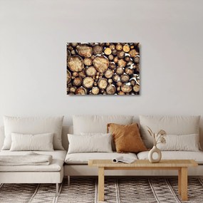 Tablou pe sticlă - Lemn în zăpadă (70x50 cm)