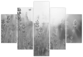 Tablou - Lavanda (150x105 cm)