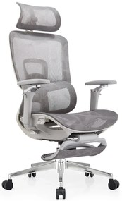 SYBERGO HUMAN PRO Scaun ergonomic, suport lombar, sezut translatie, cotiere 3D, suport picioare, Full Mesh, Gri