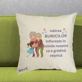 Cadou pentru Bunici - Perna Personalizata Bunicii Iubirea Infloreste Bunici cu Nepoata Colorat, 40x40 cm, Ecru, Husa Detasabila, Perna Inclusa, BEKZ®