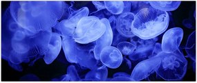 Tablou - Meduză (120x50 cm)