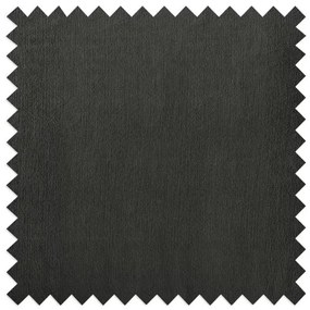 Canapea gri închis cu tapițerie din catifea 203 cm Juli – Ropez