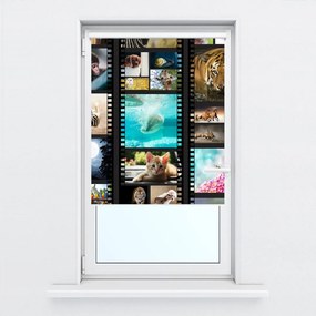 Fotojaluzele R014981R42150 (42x150 cm)
