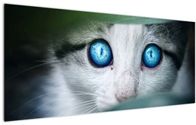 Tablou cu pisica (120x50 cm)