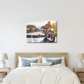 Tablou - Motociclist (70x50 cm)