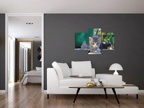 Tablou cu pisicuțe (90x60 cm)