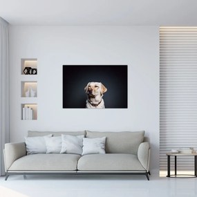 Tablou cu labrador (90x60 cm)