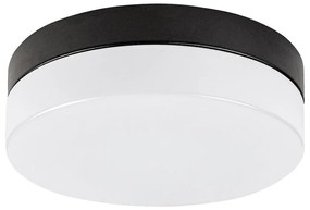 Plafonieră LED pentru baie Rabalux 75026GAELO LED/18W/230V d. 28 cm negru