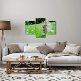 Tablou cu păpădie (90x60 cm)