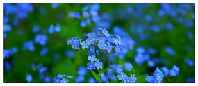 Tablou cu flori albastre (120x50 cm)