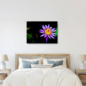 Tablou pe sticlă cu floare (70x50 cm)