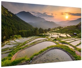 Tablou - Terase de orez (90x60 cm)
