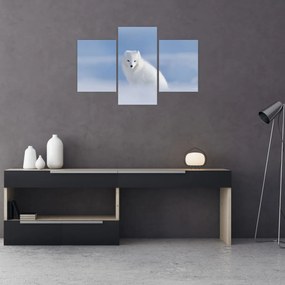 Tablou - Vulpe polară (90x60 cm)