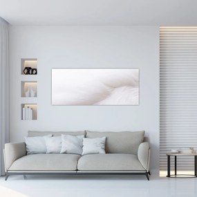 Tablou - Pană albă (120x50 cm)