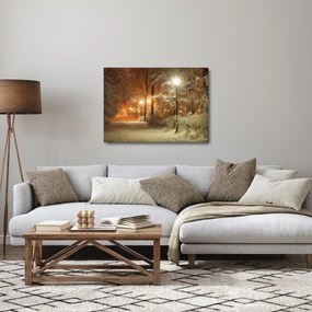 Tablou - Parcul înzăpezit (70x50 cm)