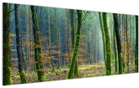 Tablou cu pădure (120x50 cm)