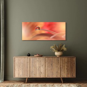 Tablou picăturii de rouă pe floare (120x50 cm)