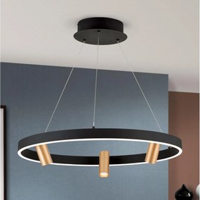 Orion HL 6-1667/3-LED Lustră reglabilă pe cablu BERLIN LED/50W/230V negru/auriu