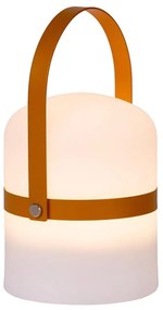Lampă LED dimabilă de exterior Lucide 06802/01/43 LITTLE JOE LED/0,3W/3,7V IP44