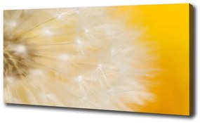 Print pe canvas Păpădie