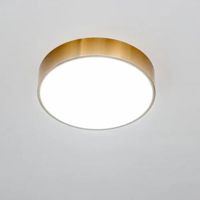 Brilagi - Plafonieră LED pentru baie POOL, 24W, 230V, Ø 30 cm, IP54, bronz