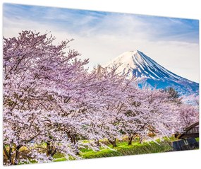 Tablou - Japonia în primăvară (90x60 cm)