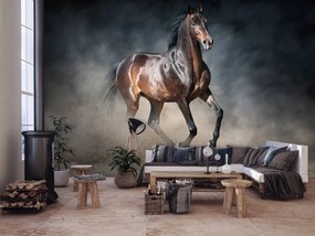 Fototapet - Calul maro (254x184 cm)