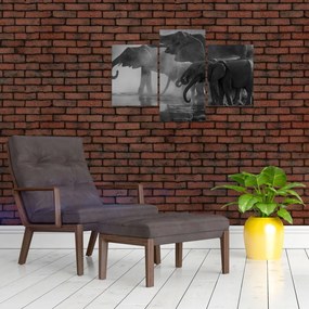 Tablou cu elefanți - albnegru (90x60 cm)