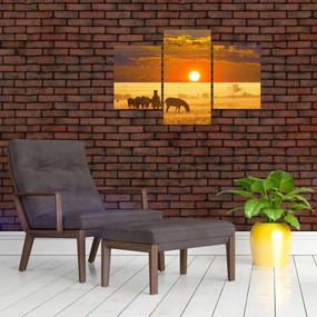 Tablou - Zebre cu apus de soare (90x60 cm)